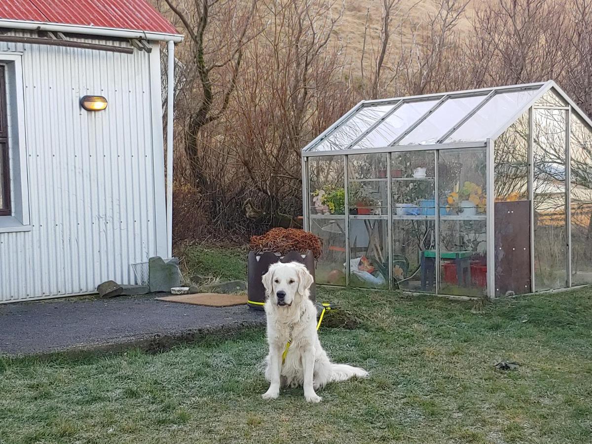 Prestshus 2 Guesthouse Vík Zewnętrze zdjęcie