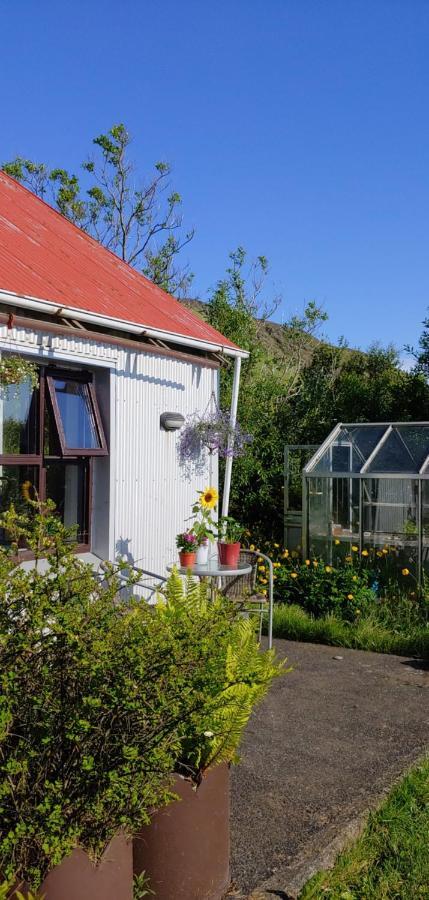 Prestshus 2 Guesthouse Vík Zewnętrze zdjęcie