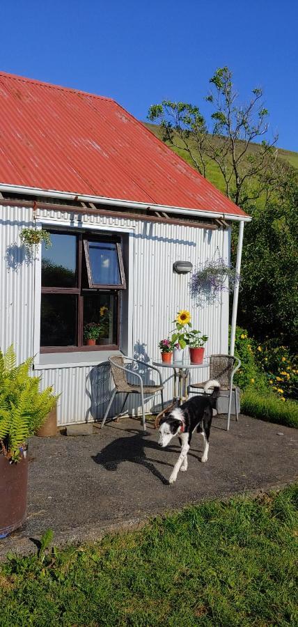 Prestshus 2 Guesthouse Vík Zewnętrze zdjęcie