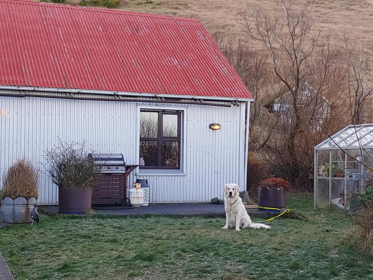 Prestshus 2 Guesthouse Vík Zewnętrze zdjęcie